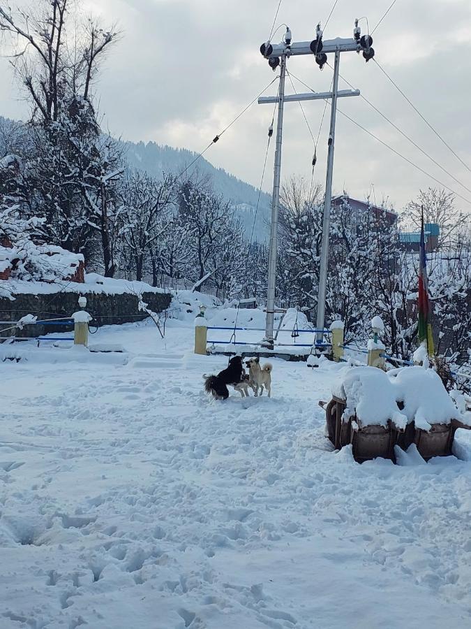 Indian Backpackers Hostel Manāli Dış mekan fotoğraf